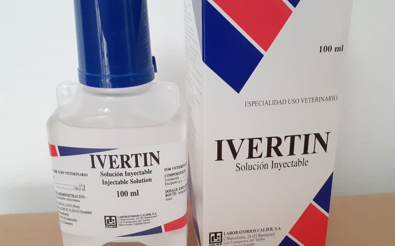 Giải pháp giúp thả cá Koi vào hồ mới khoẻ mạnh, không bị tụ đàn, nằm đáy, đỏ mình