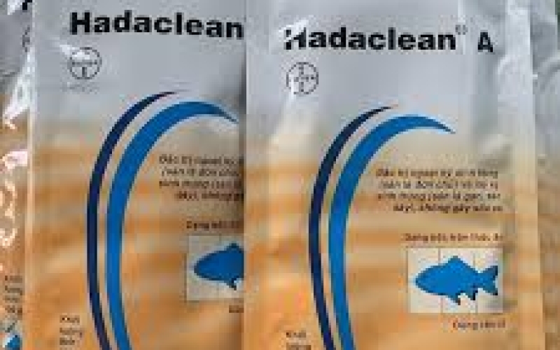Hadaclean® A: Giải pháp diệt nội ngoại ký sinh trùng hiệu quả cho cá
