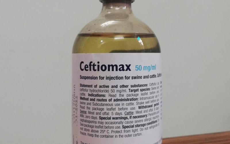 Kháng sinh Ceftiomax - điều trị viêm nhiễm khuẩn nặng