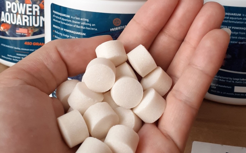 Power Aquarium - Vi sinh xử lý nước chuyên dụng cho hồ cá cảnh, cá Koi- Túi chiết lẻ