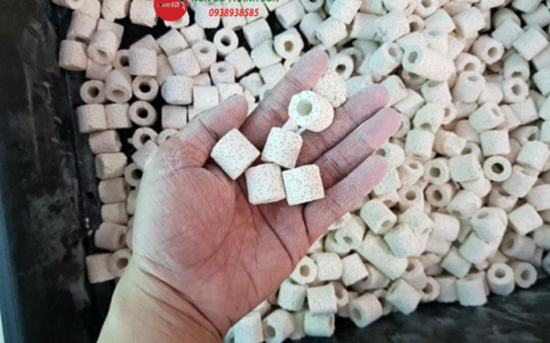 Sứ Nhẫn Trắng – Vật Liệu Lọc Cao Cấp Hồ Cá