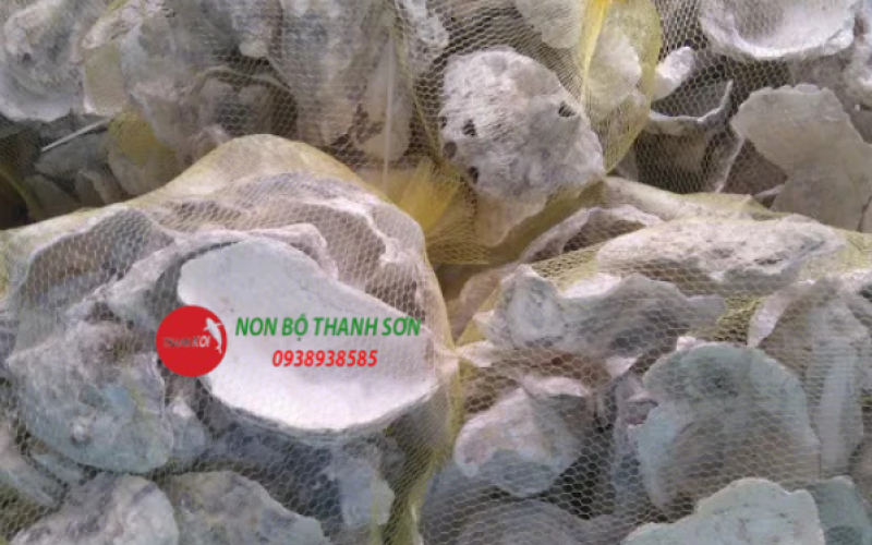 Vỏ Hàu Ion Thế hệ 3 Lọc – Ổn Định PH hồ cá koi