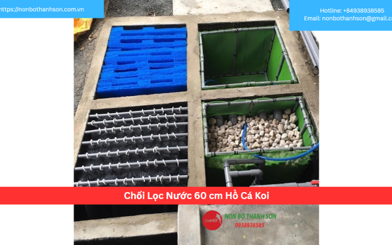 Chổi Lọc Nước 60 cm Hồ Cá Koi