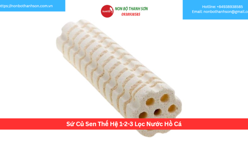 Sứ Củ Sen Thế Hệ 1-2-3 Lọc Nước Hồ Cá