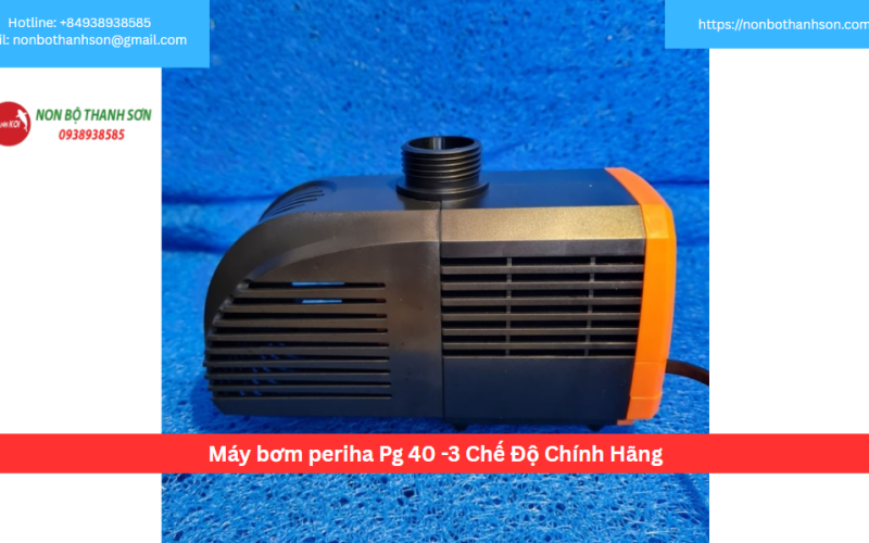 Máy bơm periha Pg 40 -3 Chế Độ Chính Hãng