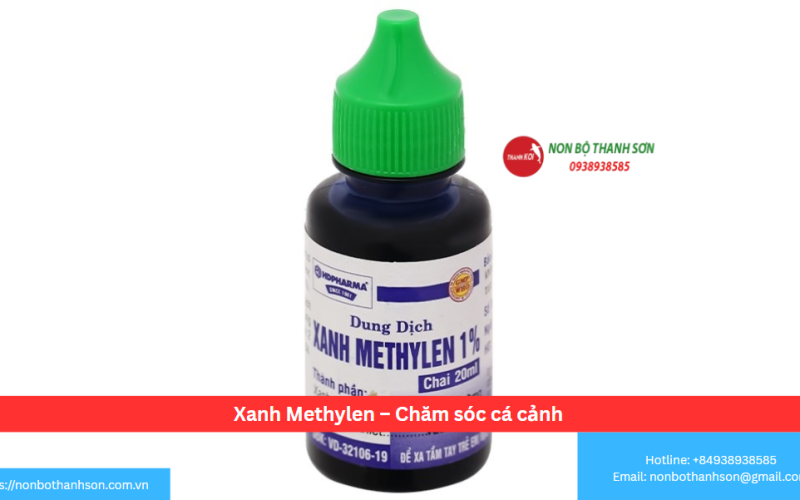Xanh Methylen – Chăm sóc cá cảnh