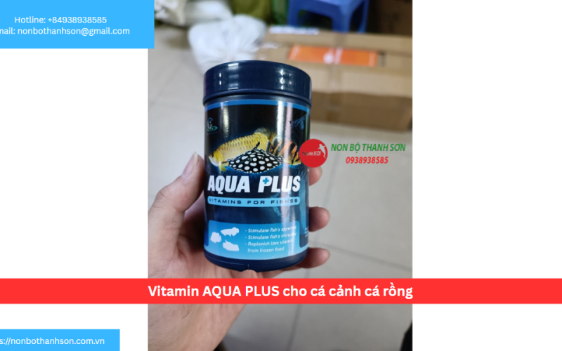 Vitamin AQUA PLUS cho cá cảnh cá rồng