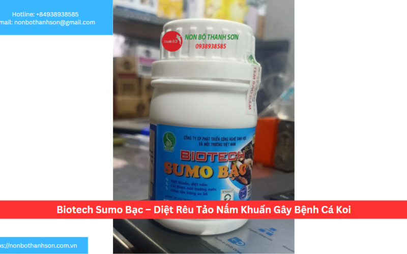 Biotech Sumo Bạc – Diệt Rêu Tảo Nấm Khuẩn Gây Bệnh Cá Koi