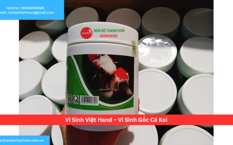 Vi Sinh Việt Hand – Vi Sinh Gốc Cá Koi