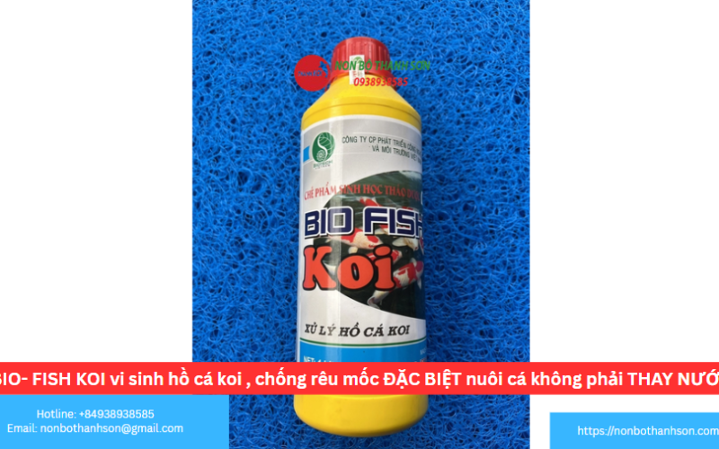 BIO- FISH KOI vi sinh hồ cá koi , chống rêu mốc ĐẶC BIỆT nuôi cá không phải THAY NƯỚC