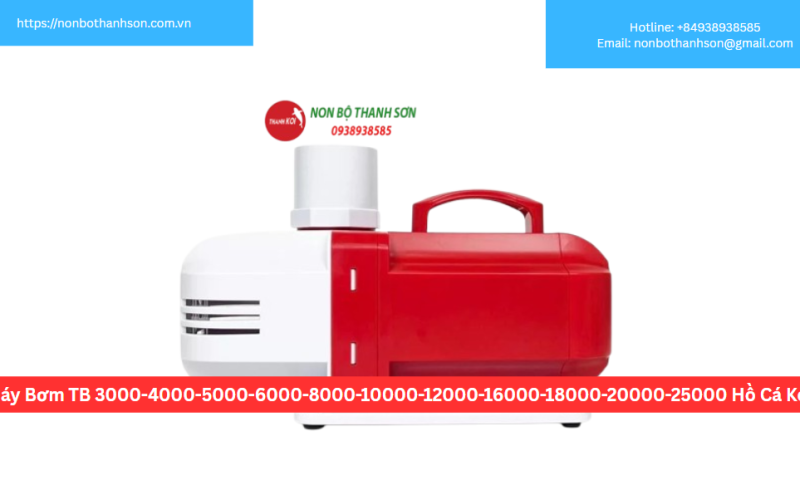 Máy Bơm TB 3000-4000-5000-6000-8000-10000-12000-16000-18000-20000-25000 Hồ Cá Koi
