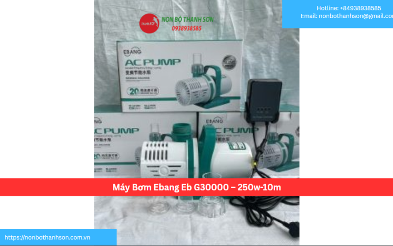Máy Bơm Ebang Eb G30000 – 250w-10m