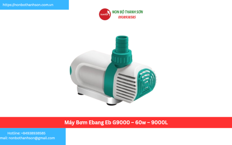 Máy Bơm Ebang Eb G9000 – 60w – 9000L