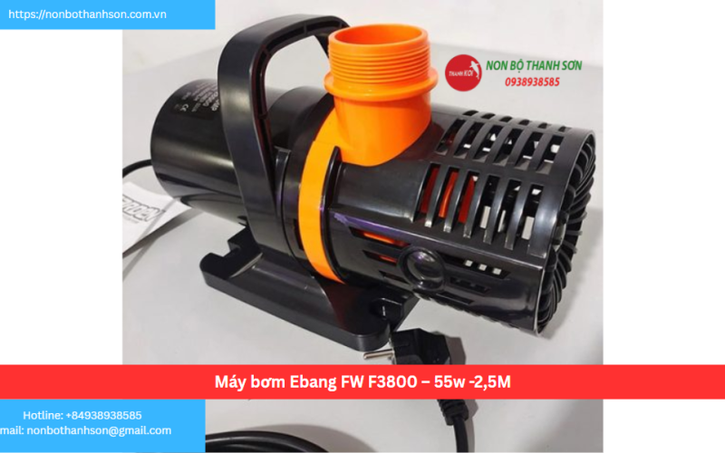 Máy bơm Ebang FW F3800 – 55w -2,5M