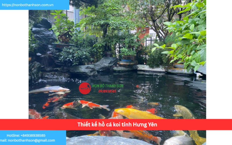 Bảng báo giá thiết kế hồ cá koi tỉnh Hưng Yên