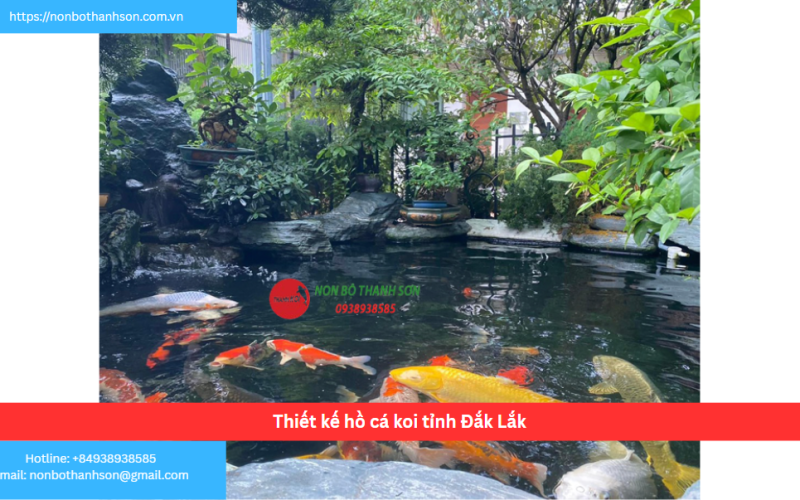 Bảng báo giá thiết kế hồ cá koi tỉnh Đắk Lắk