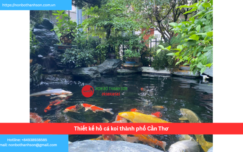 Bảng báo giá thiết kế hồ cá koi thành phố Cần Thơ