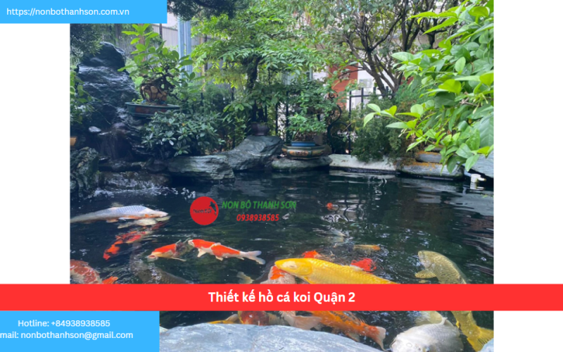 Bảng báo giá thiết kế hồ cá koi Quận 2
