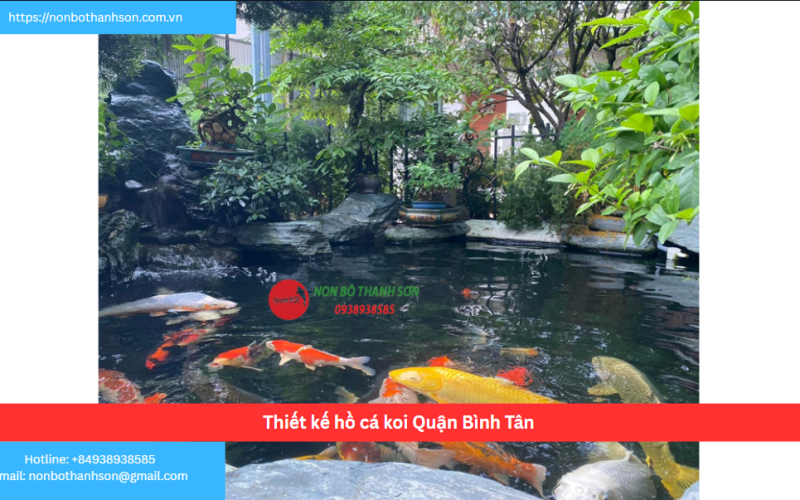 Bảng báo giá thiết kế hồ cá koi Quận Bình Tân