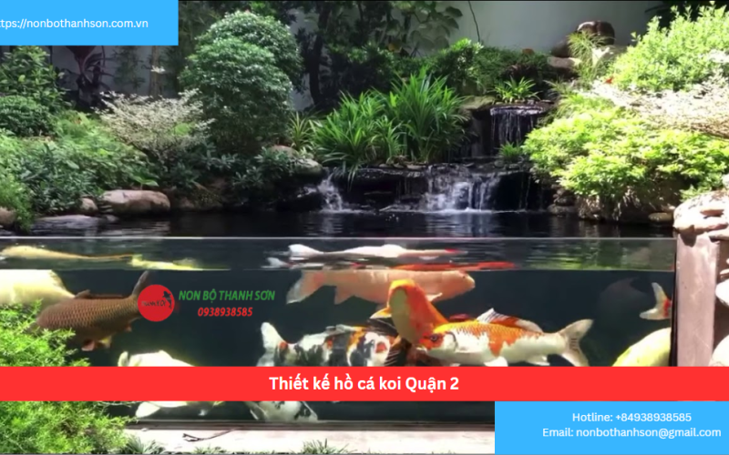 Bảng báo giá thiết kế hồ cá koi Quận 2