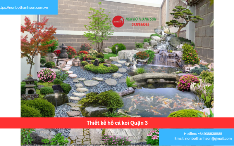 Bảng báo giá thiết kế hồ cá koi Quận 3