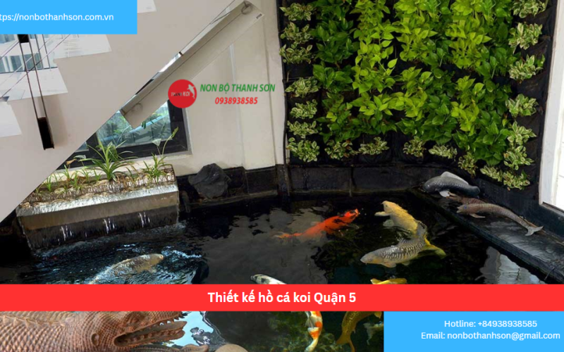 Bảng báo giá thiết kế hồ cá koi Quận 5