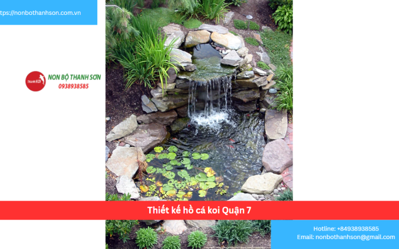 Bảng báo giá thiết kế hồ cá koi Quận 7