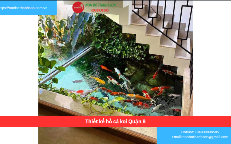 Bảng báo giá thiết kế hồ cá koi Quận 8