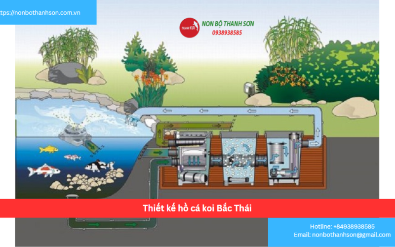 Bảng báo giá thiết kế hồ cá koi Bắc Thái