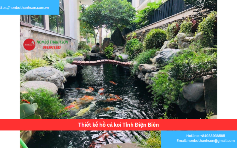 Bảng Báo Giá Thiết kế hồ cá koi Tỉnh Điện Biên