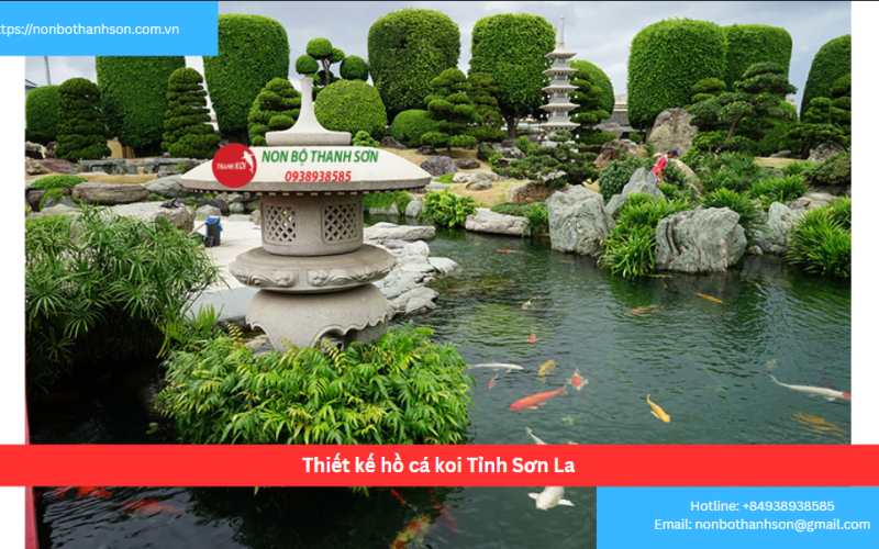 Bảng Báo Giá Thiết kế hồ cá koi Tỉnh Sơn La