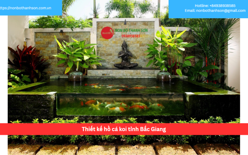 Bảng báo giá thiết kế hồ cá koi tỉnh Bắc Giang