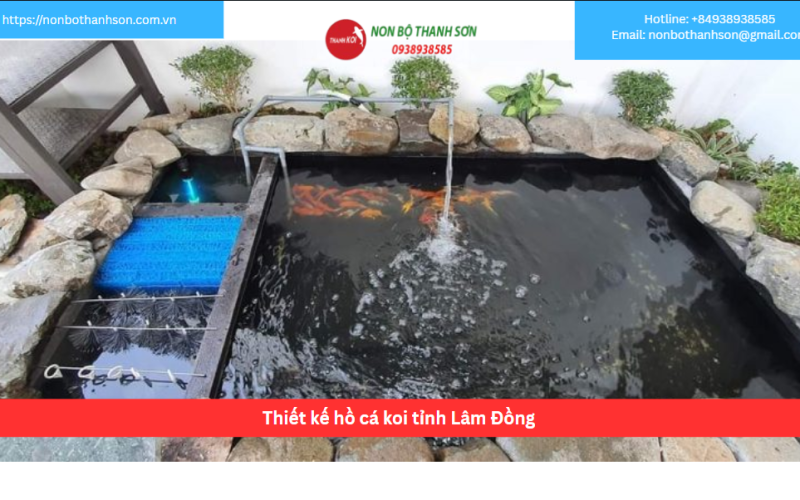 Bảng báo giá thiết kế hồ cá koi tỉnh Lâm Đồng