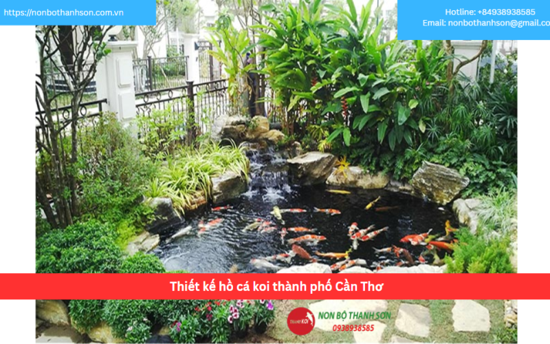 Bảng báo giá thiết kế hồ cá koi thành phố Cần Thơ