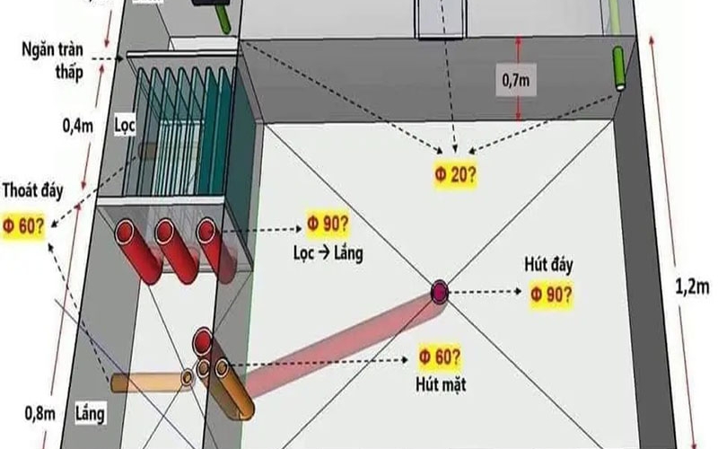 Thiết Kế Hồ Cá Koi Tại Tphcm & Toàn Quốc